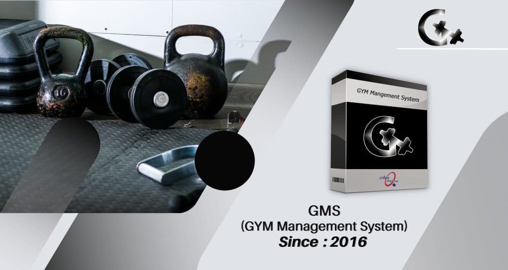 GMS software screenshot