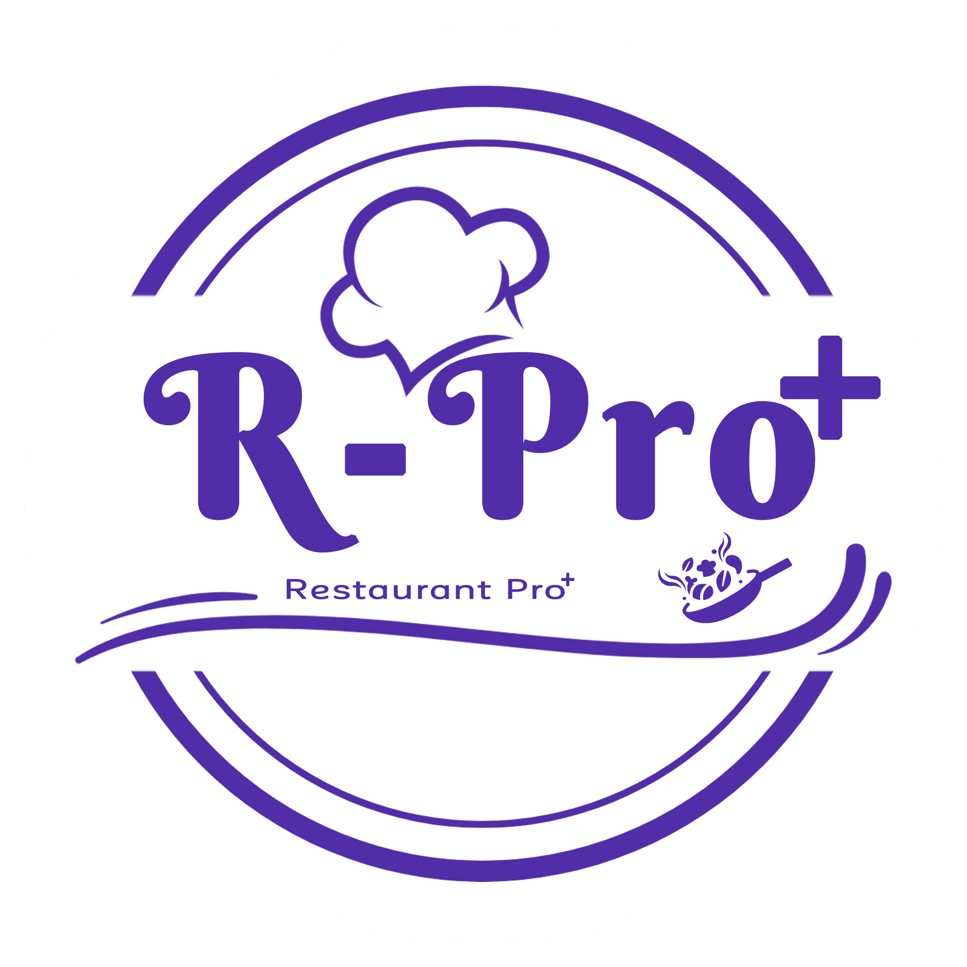 RPro software screenshot